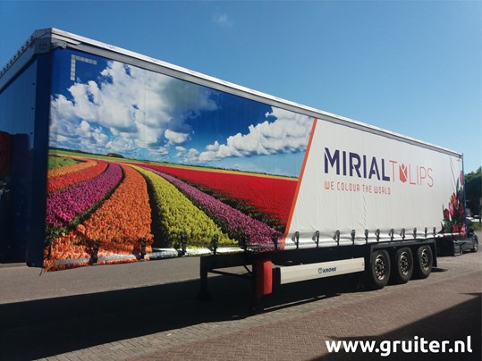 2020 - 028 Mirial Tulips